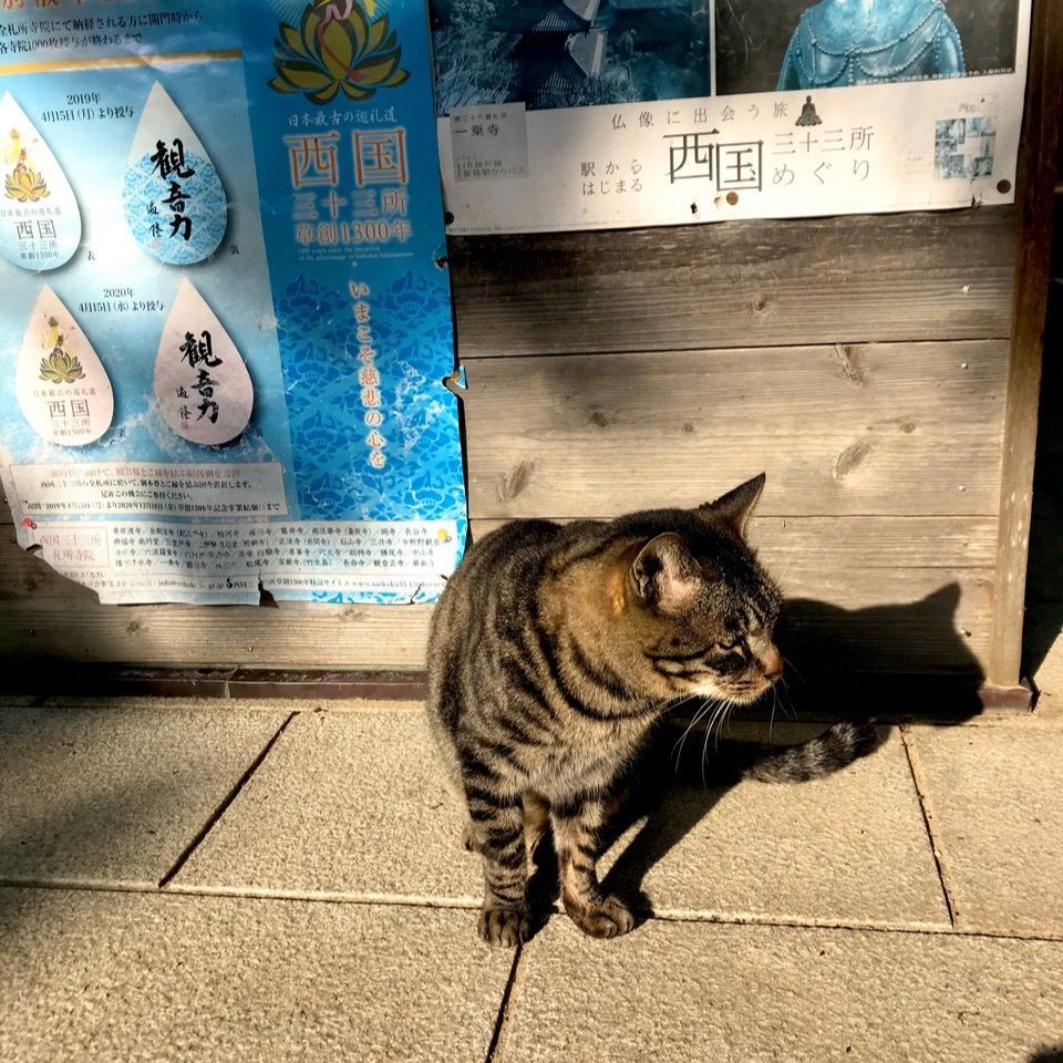 ＫMＴKさんが投稿した法華山一乗寺三重塔に関する口コミの画像