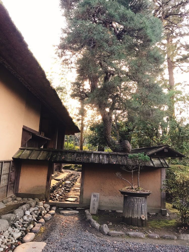 猫なぎ。さんが投稿した武家屋敷（旧小関家）に関する口コミの画像