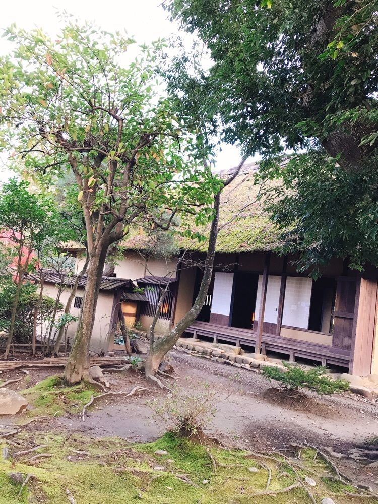 猫なぎ。さんが投稿した武家屋敷（旧小関家）に関する口コミの画像