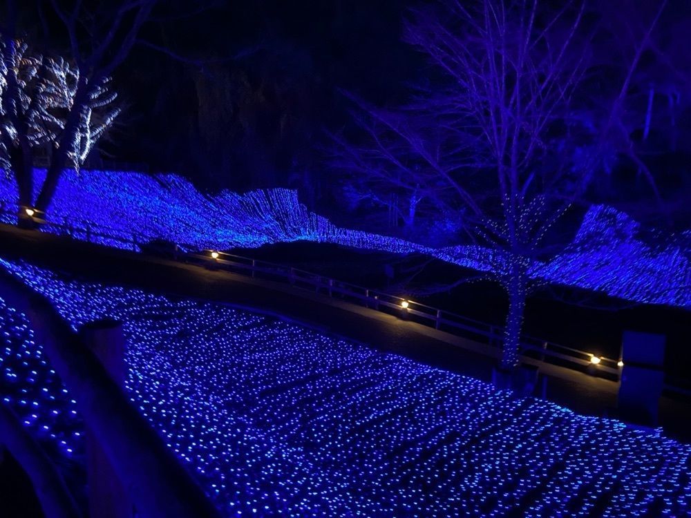 A-Ruさんが投稿したネスタリゾート神戸（NESTA RESORT KOBE）に関する口コミの画像