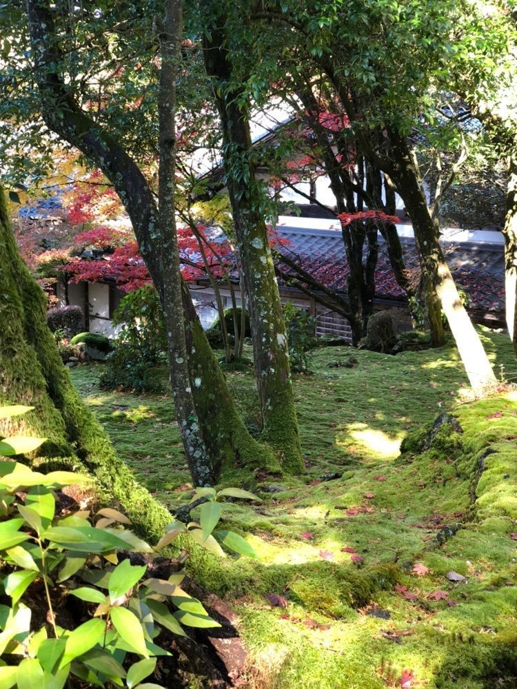 nicanさんが投稿した西明寺庭園（蓬来庭）に関する口コミの画像