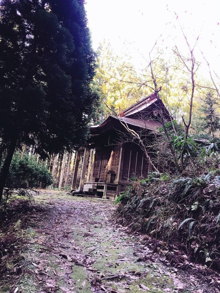 猫なぎ。さんが投稿した山五十川の玉杉に関する口コミの画像