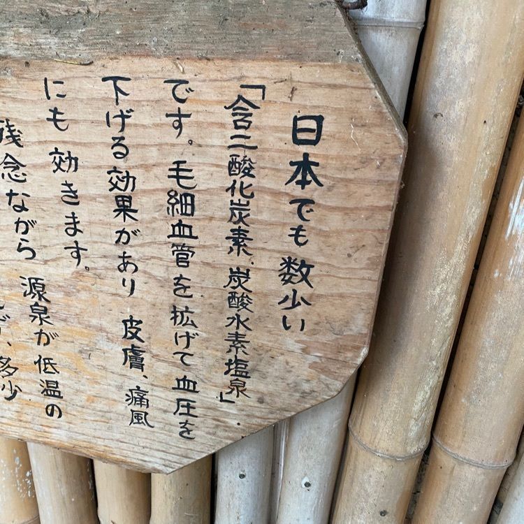 かよこさんが投稿した下仁田温泉 清流荘に関する口コミの画像