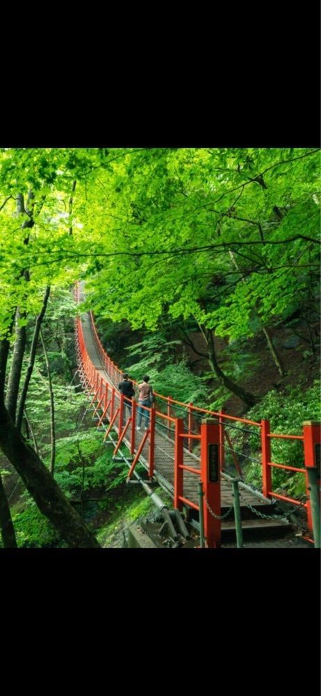 からっ風②さんが投稿した大滝・けさかけ橋に関する口コミの画像