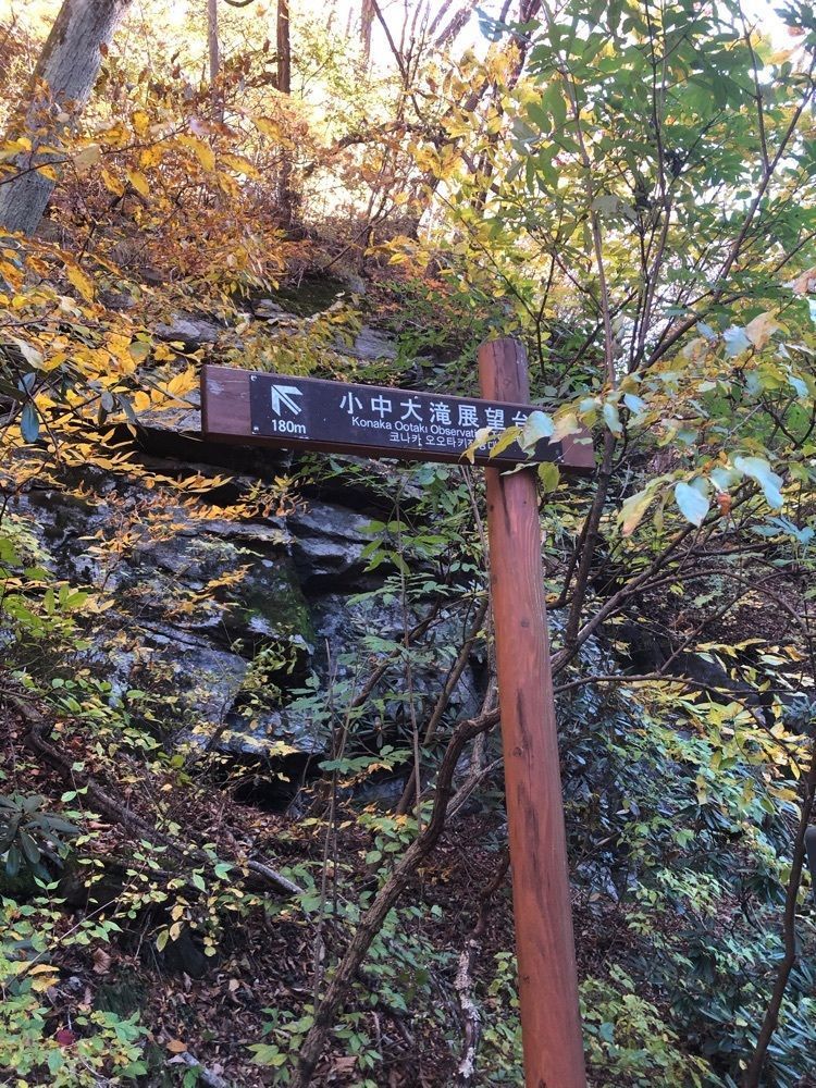からっ風②さんが投稿した大滝・けさかけ橋に関する口コミの画像