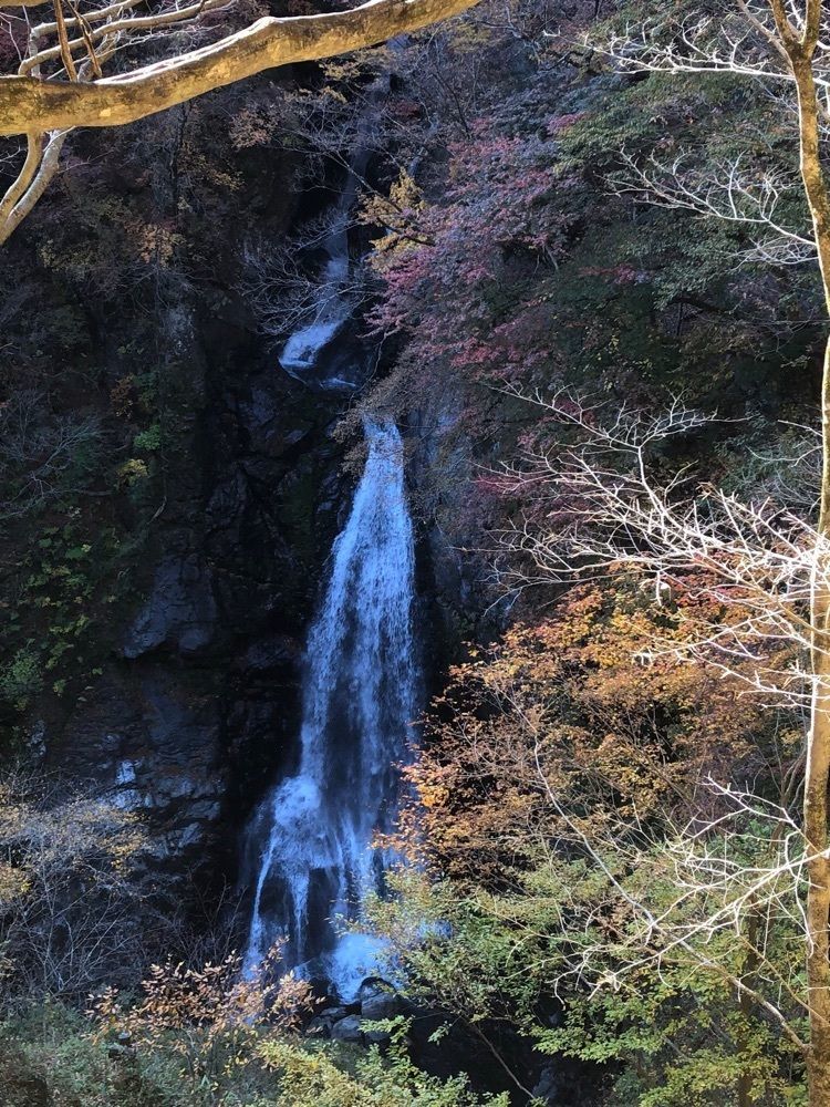 からっ風②さんが投稿した大滝・けさかけ橋に関する口コミの画像