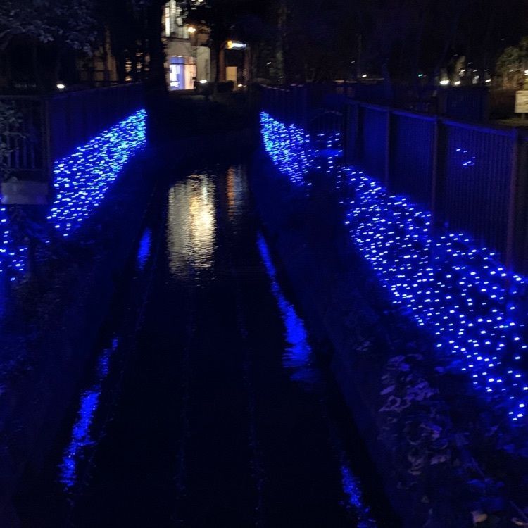 Fumieさんが投稿した倉敷みらい公園に関する口コミの画像