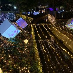 中国地方のイルミネーションがきれいなスポット特集 Aumo アウモ