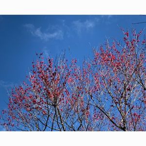 赤塚山公園 1枚目