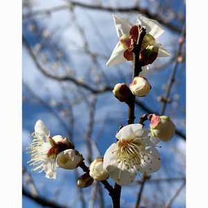 赤塚山公園 2枚目