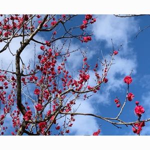 赤塚山公園 3枚目