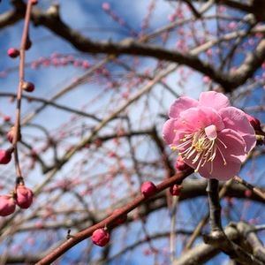赤塚山公園 4枚目
