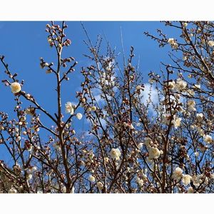 赤塚山公園 5枚目