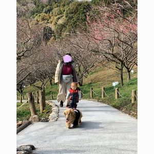 赤塚山公園 6枚目