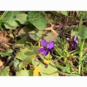 赤塚山公園 7枚目