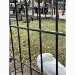 赤塚山公園 8枚目