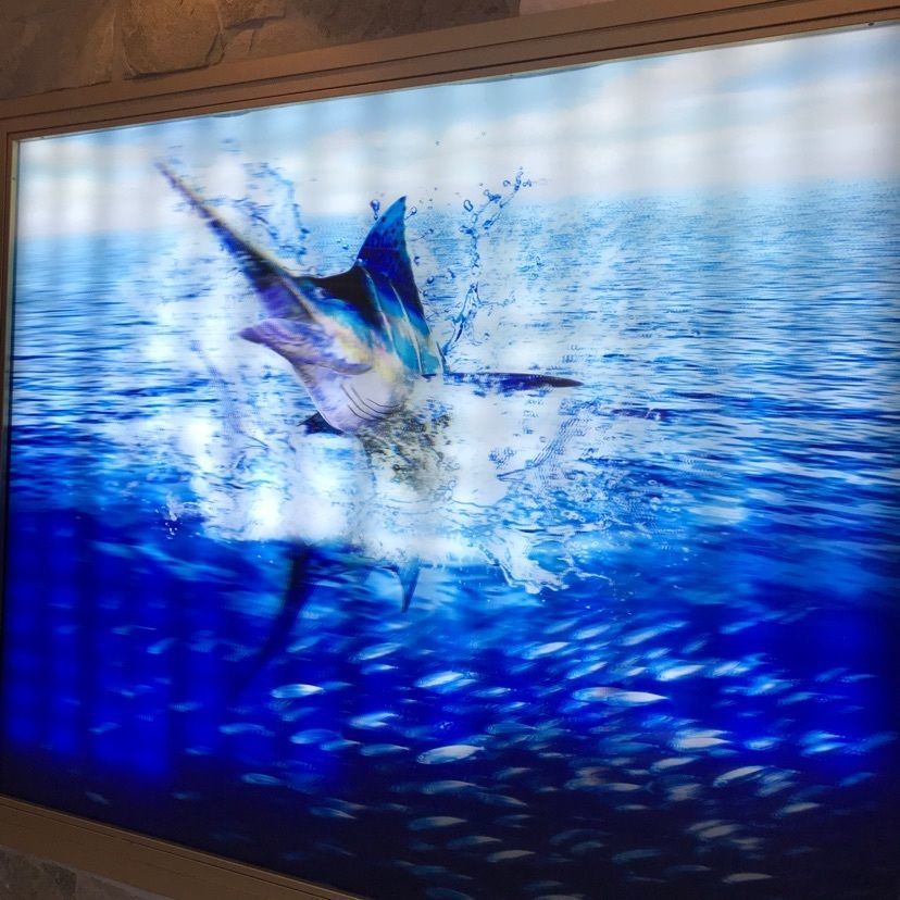speed_starさんが投稿した嘉文 金山店（かもん）に関する口コミの画像