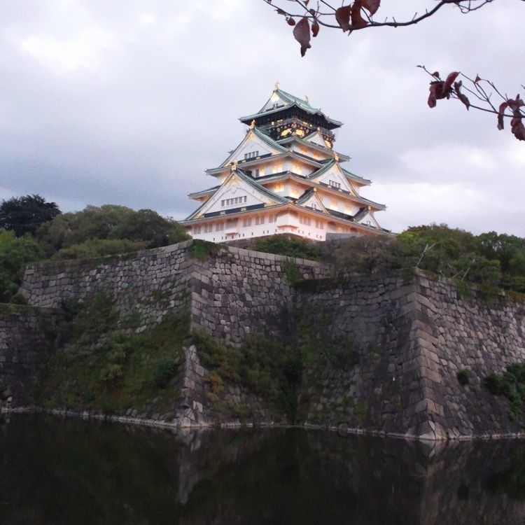 ぱんださんが投稿した大阪城公園に関する口コミの画像