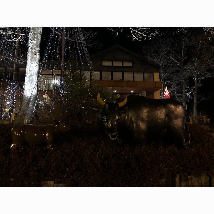 hinappleさんが投稿したあ・かうはーどに関する口コミの画像