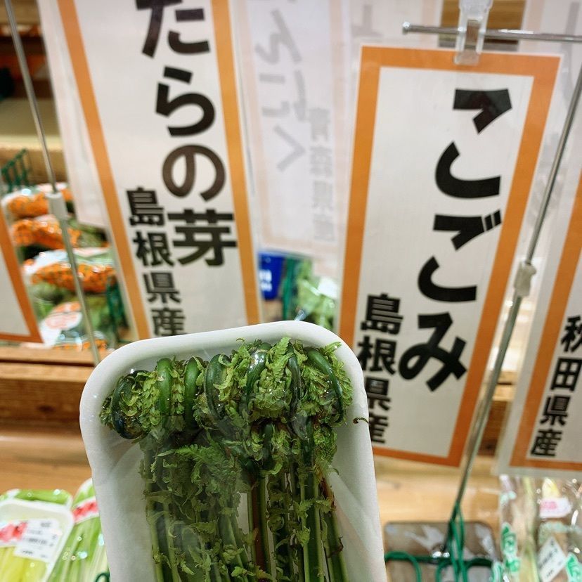 𓇼のんたん𓇼さんが投稿したやっちょん広場に関する口コミの画像
