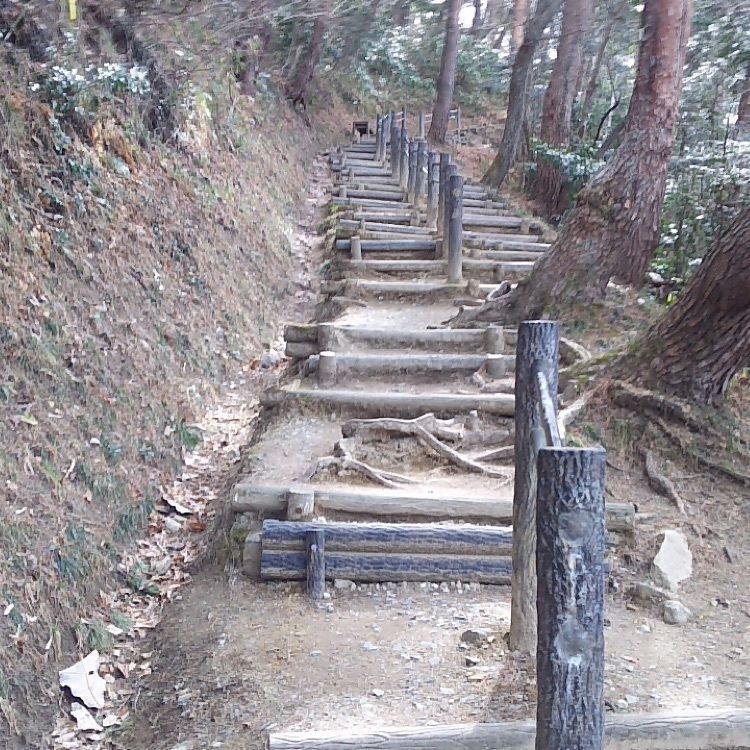ひとりさんが投稿した松島四大観に関する口コミの画像