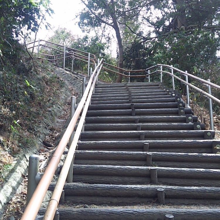 ひとりさんが投稿した松島四大観に関する口コミの画像