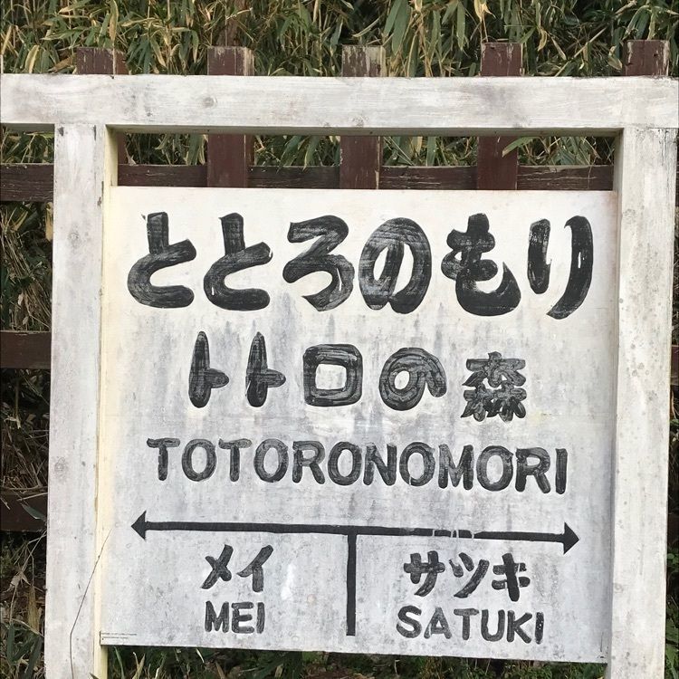 ✨💫momo✨💫✧さんが投稿したトトロの森に関する口コミの画像