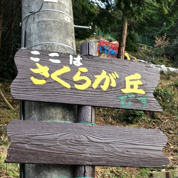 ✨💫momo✨💫✧さんが投稿したトトロの森に関する口コミの画像