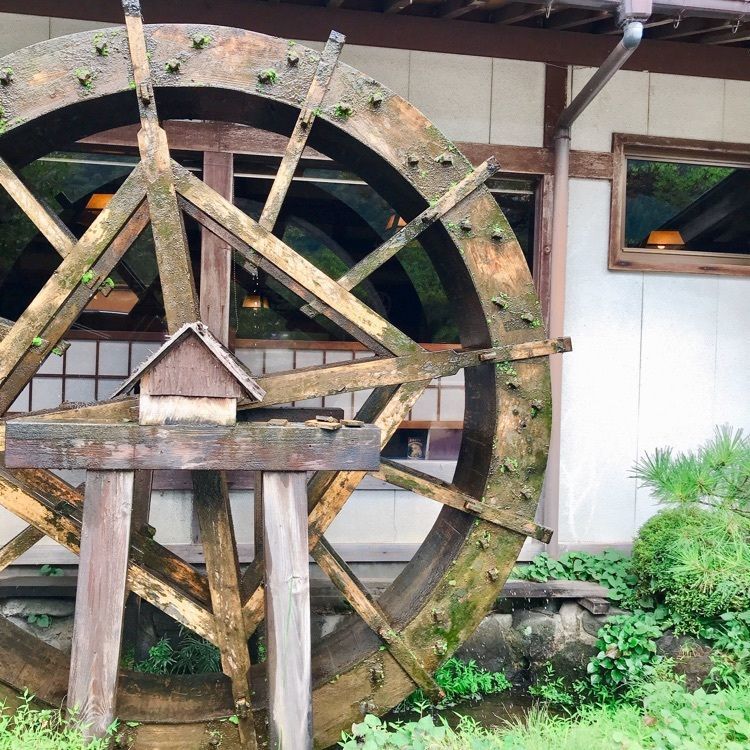 みゆちん💚さんが投稿したそば八（そばはち）に関する口コミの画像