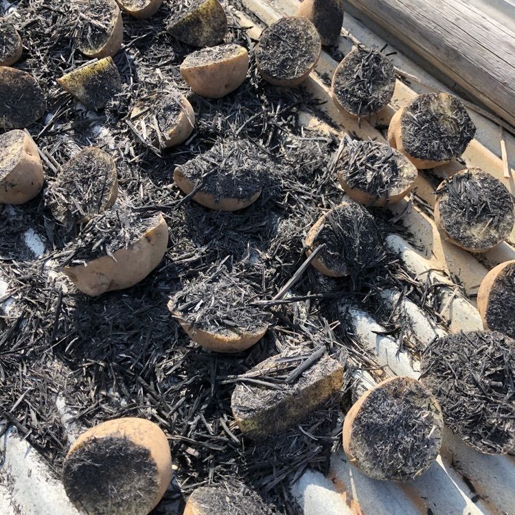 佳さんが投稿した喫茶カタロに関する口コミの画像