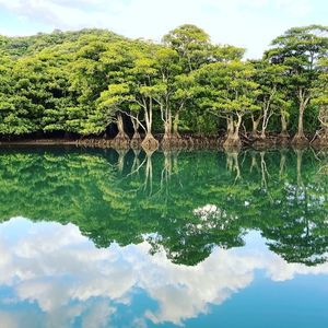 浦内川遊覧船