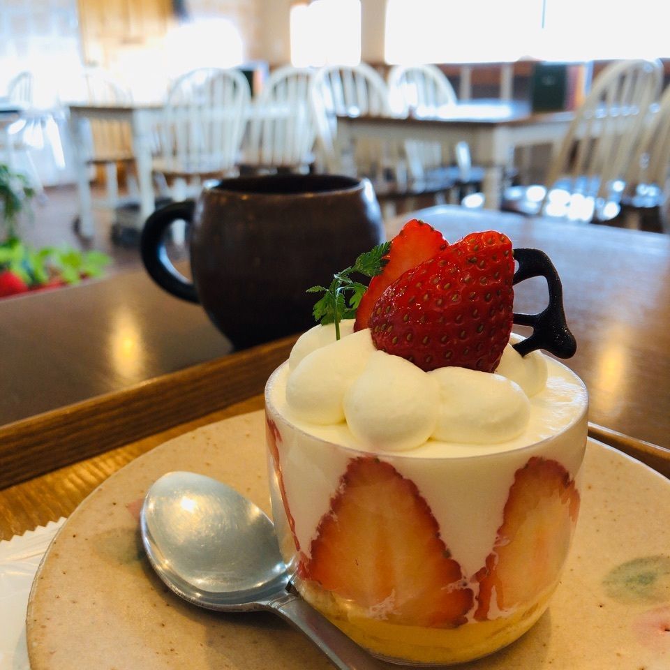 kayoさんが投稿した風のとおり道に関する口コミの画像