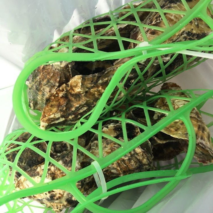 あんころさんが投稿した兵庫県立赤穂海浜公園に関する口コミの画像