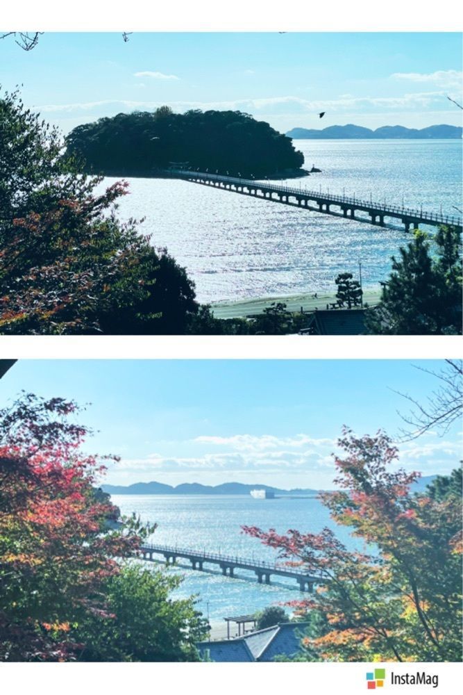Mitsuさんが投稿した画像の画像