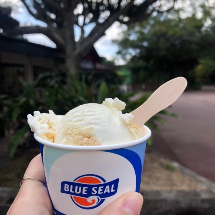 なんさんが投稿したブルーシール 国際通り店（【旧店名】ブルーシール リックビット）に関する口コミの画像
