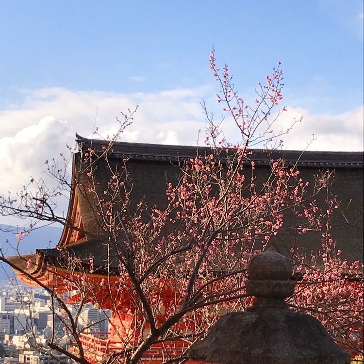NBR OTさんが投稿した清水寺に関する口コミの画像