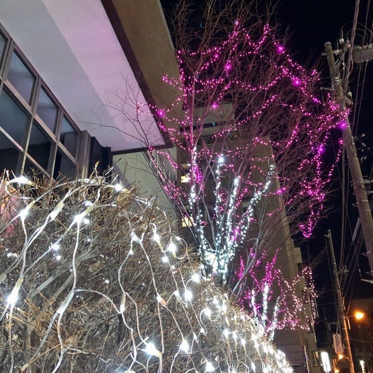 さーとし1018さんが投稿した天鴻餃子房 水道橋店に関する口コミの画像