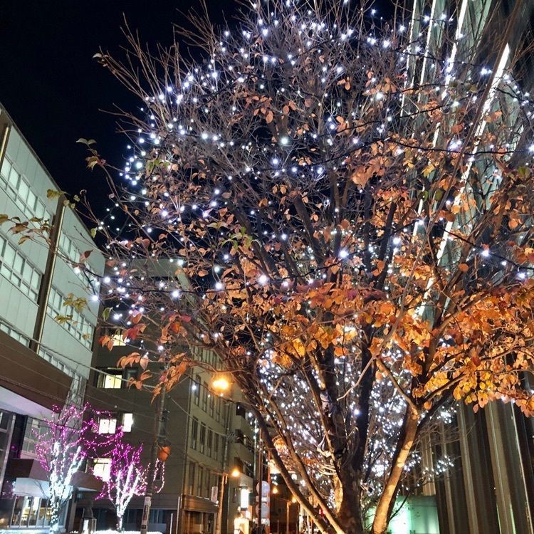 さーとし1018さんが投稿した天鴻餃子房 水道橋店に関する口コミの画像