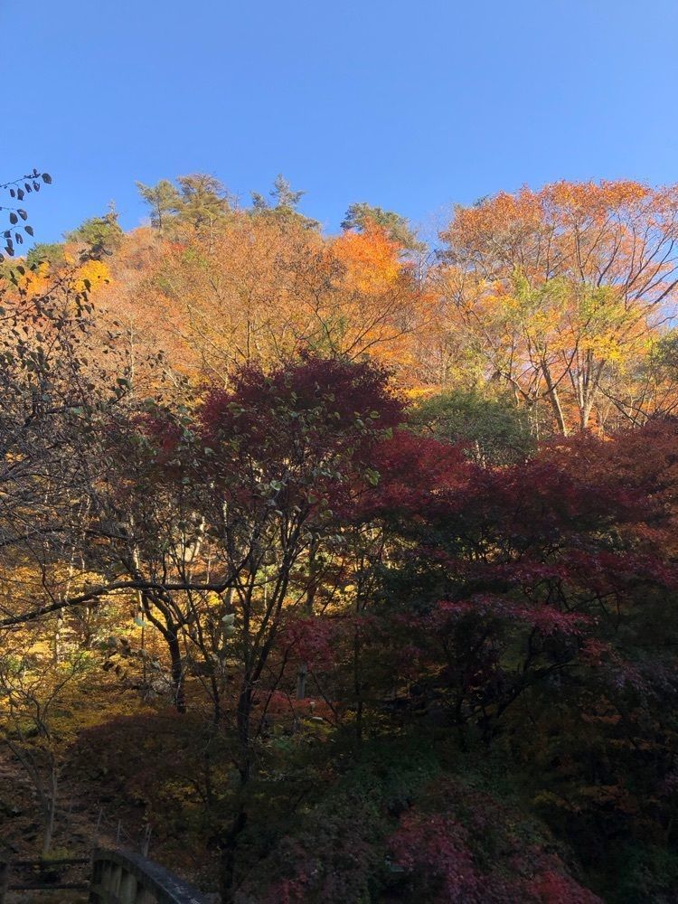 からっ風②さんが投稿した袈裟丸山に関する口コミの画像