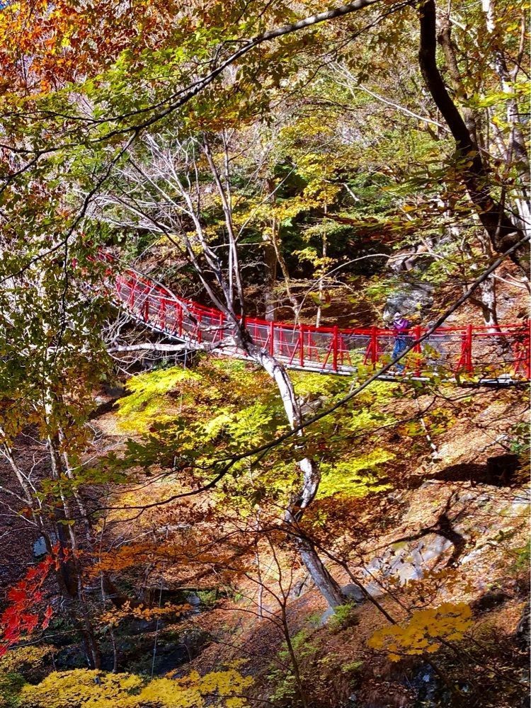 からっ風②さんが投稿した袈裟丸山に関する口コミの画像