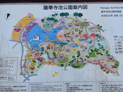 蓮華寺池公園 8枚目