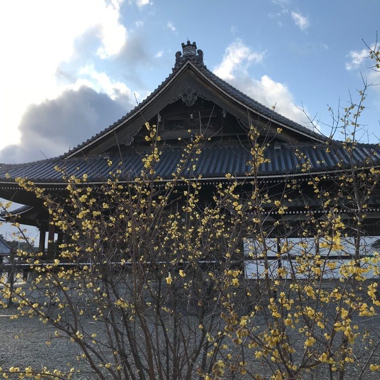 NBR OTさんが投稿した画像の画像