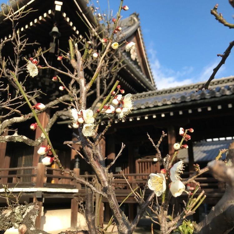 NBR OTさんが投稿した画像の画像