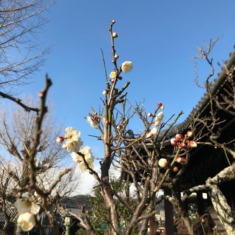 NBR OTさんが投稿した画像の画像