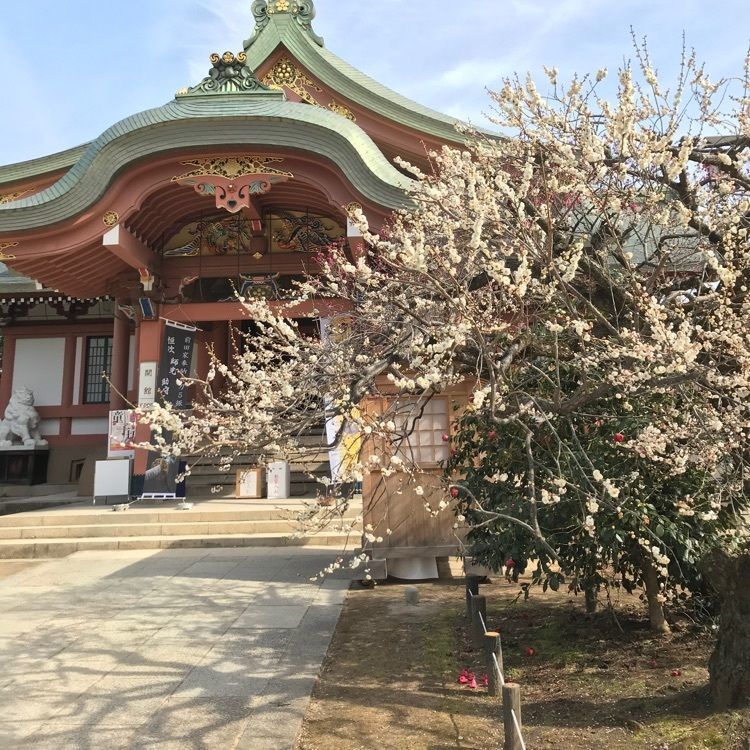 NBR OTさんが投稿した北野天満宮に関する口コミの画像