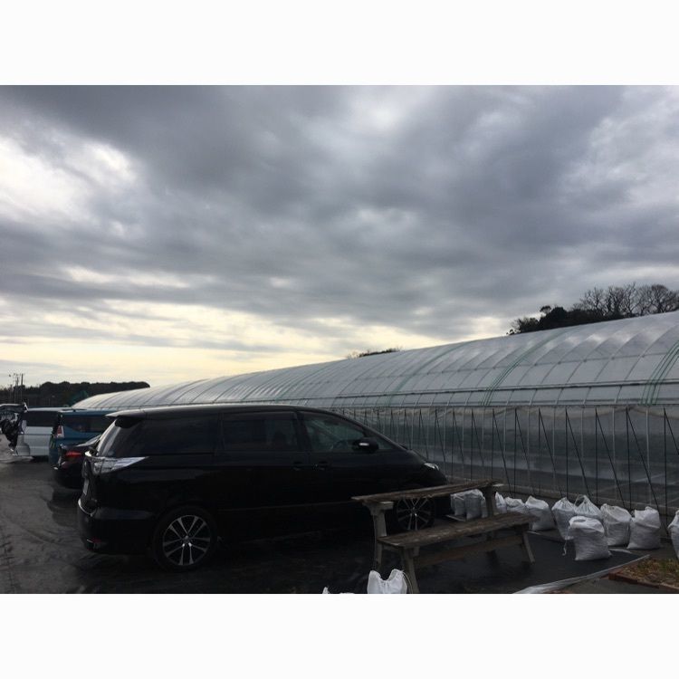 eve_janeさんが投稿した川名農園に関する口コミの画像