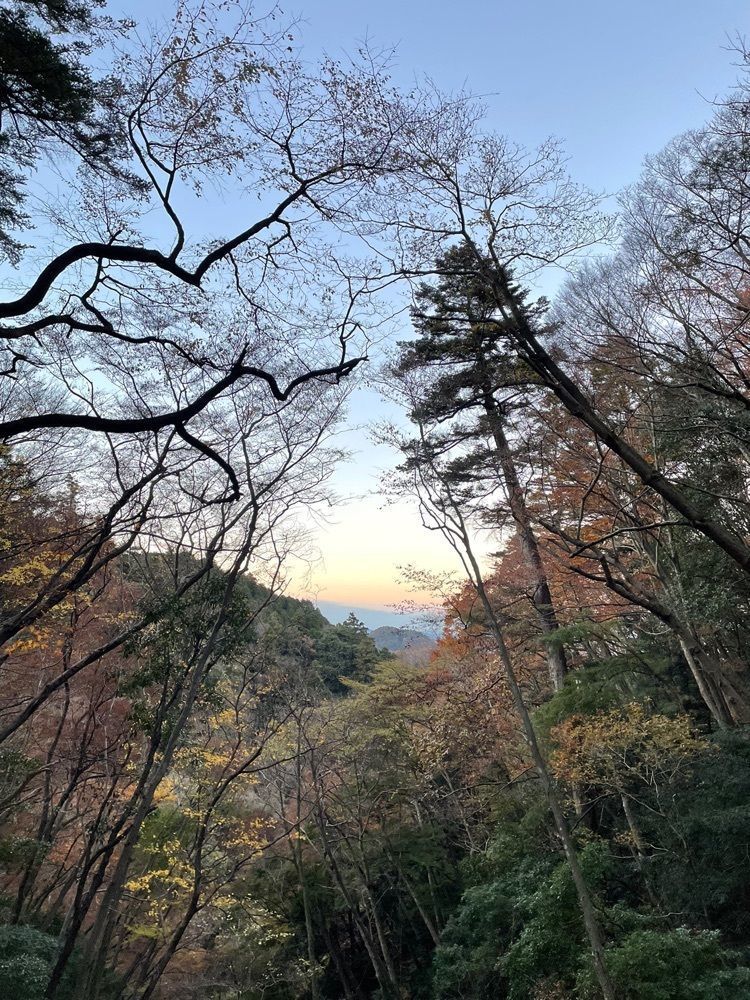 ☆さんが投稿した高尾山に関する口コミの画像