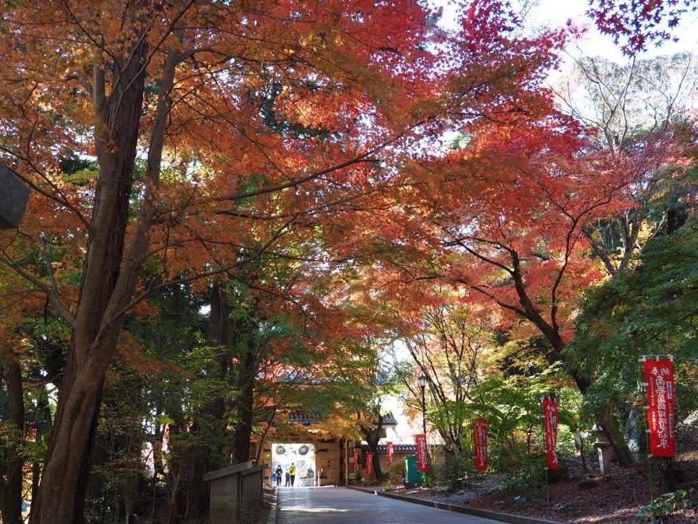 Howl Monさんが投稿した油山寺の紅葉に関する口コミの画像