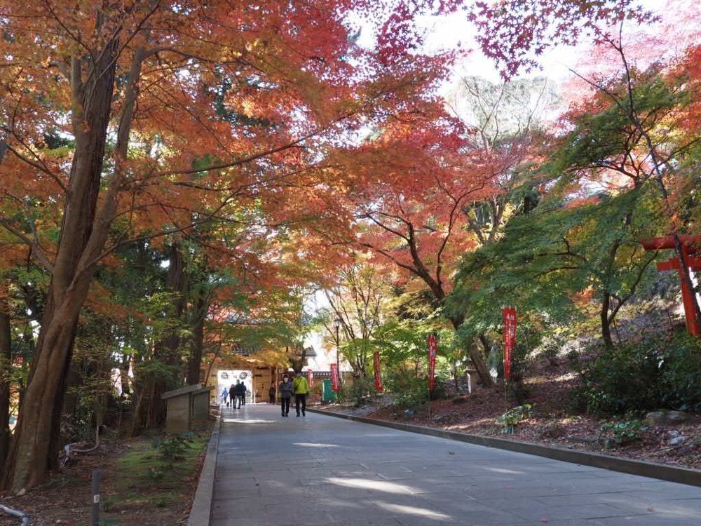 Howl Monさんが投稿した油山寺の紅葉に関する口コミの画像