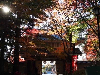 施設画像
